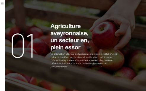 https://www.aveyron-agricole.fr